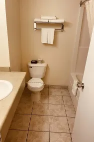 Aurora Park Inn & Suites - Badezimmer