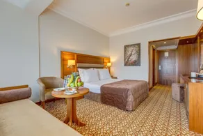 Buyuk Abant Hotel - Room