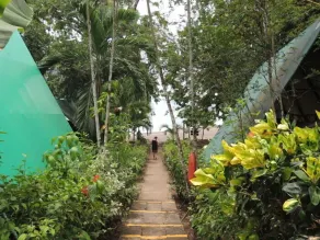 Corcovado Adventures - Réception