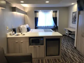 Microtel Inn & Suites by Wyndham Atlanta Buckhead Area - Chambre