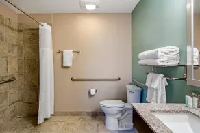 Clarion Inn & Suites Atlanta Downtown - Badrum