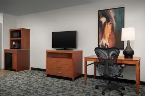 Hilton Garden Inn Fort Worth Medical Center - Chambre