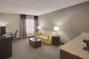 La Quinta Inn & Suites by Wyndham Detroit Metro Airport - Chambre