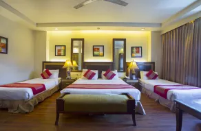 Hotel Picasso near Peera Garhi Paschim Vihar New Delhi - Habitación