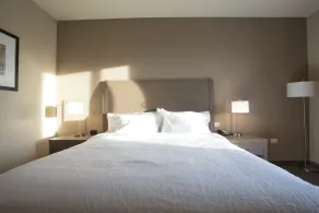 Hilton Garden Inn Bolingbrook I-55 - Chambre