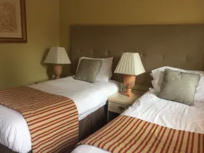 Bedingfeld Arms - Room