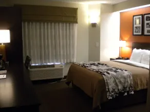 Sleep Inn Kernersville I-40 - Chambre