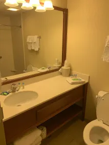 Gold Leaf Hotel of Dewey - Salle de bain