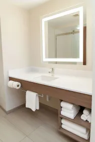 Holiday Inn Express Hotel & Suites Pittsburgh-South Side by IHG - Salle de bain