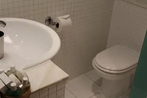 The Sumner - Bagno