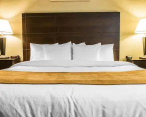 Comfort Inn Whitehall near Michigan's Adventure - Chambre