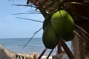 La Posada del Sol Boutique Hotel Tulum - Vue de la chambre