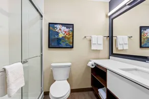 Everhome Suites Yuma East I-8 by Choice Hotels - Badrum