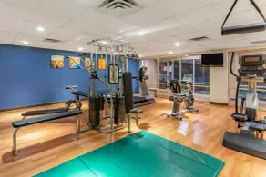 Comfort Suites Oakbrook Terrace - Chicago West - Sala de fitness