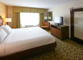 Hilton Garden Inn Olathe - Chambre