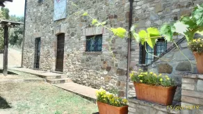 Agriturismo Casale Poggio Colpiccione - Udsigt fra værelset