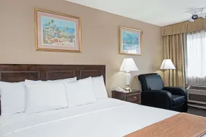 Howard Johnson by Wyndham Torrance - Room