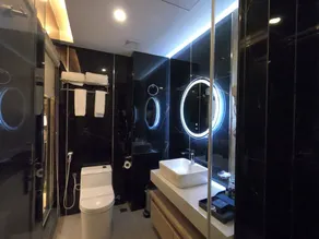 The Zabeer Dhaka - Bathroom