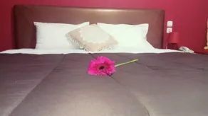 Hotel King - Room