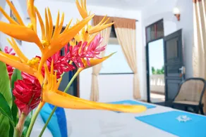 Blue Sky Beach Resort - Camera