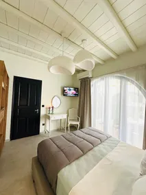 GT Suites - Camera