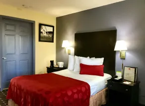 Days Inn by Wyndham Augusta Fort Eisenhower - Chambre