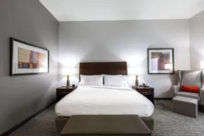 Hilton Garden Inn Lynchburg - Chambre