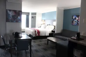Best Western Medical Center North Inn & Suites Near Six Flags - Room