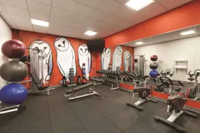 Radisson Red Minneapolis Downtown - Area fitness