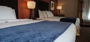 Decatur Conference Center and Hotel - Chambre