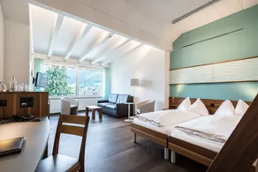 Hotel Nidwaldnerhof direkt am See Swiss Quality - Room