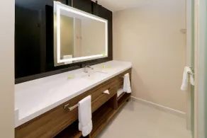 Holiday Inn & Suites - Mexico Felipe Angeles Airport by IHG - Badrum