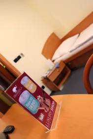 Hotel Ruze - Chambre