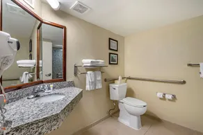 Comfort Inn & Suites St Pete - Clearwater International Airport - Salle de bain