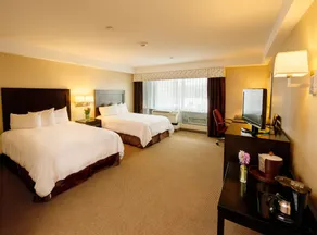 Hampton Inn & Suites Boston Crosstown Center - Vue de la chambre