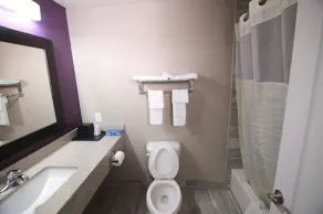 Home Inn and Suites Memphis - Salle de bain