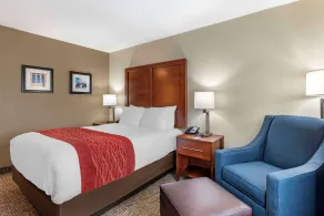 Comfort Inn & Suites Middletown - Franklin - Chambre