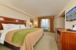 Comfort Inn Herndon-Reston - Chambre