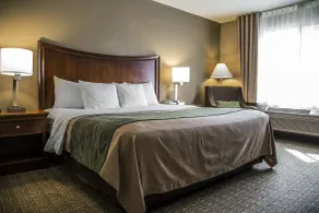 Quality Inn & Suites Bradford - Chambre
