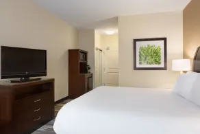 Hilton Garden Inn Huntsville South/Redstone Arsenal - Zimmer