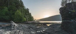 Wild Renfrew Seaside Cottages - Vista do quarto