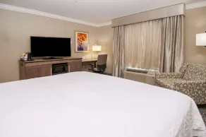 Hampton Inn & Suites Jackson-Ridgeland - Habitación