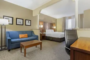 Comfort Suites Houston NW - Vintage Park - Rum