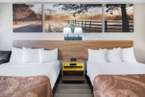 Days Inn by Wyndham Macon I-475 - Chambre