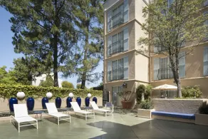 The Westin Palo Alto - Piscine
