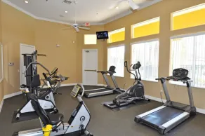 211 Terra Verde House 7 Bedroom by Florida Star - Salle de remise en forme