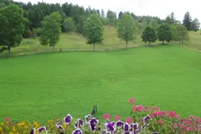 Bauernhof Trinkergut - Udsigt fra værelset