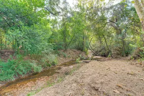 Hike & Relax: Tranquil Wooded Escape in Hockley - Innvendig
