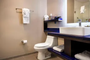 GLo Hotel Asheville-Blue Ridge Parkway - Salle de bain