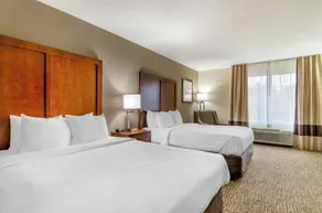 Comfort Inn & Suites near Bethel College - Værelse